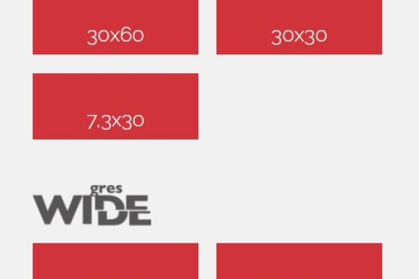 Reverso